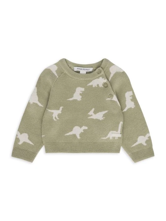 Posh Peanut Baby Boy's Poshosaurus 3-Piece Sweater, Legging & Beanie Set For Kids 4 Posh Peanut Baby Boy's Poshosaurus 3-Piece Sweater, Legging & Beanie Set For Kids - Image 2
