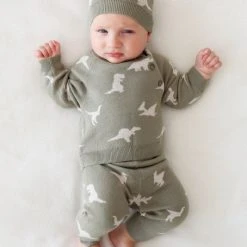 Posh Peanut Baby Boy's Poshosaurus 3-Piece Sweater, Legging & Beanie Set For Kids 12 Posh Peanut Baby Boy's Poshosaurus 3-Piece Sweater, Legging & Beanie Set For Kids -Posh Peanu Shop unnamed file 269