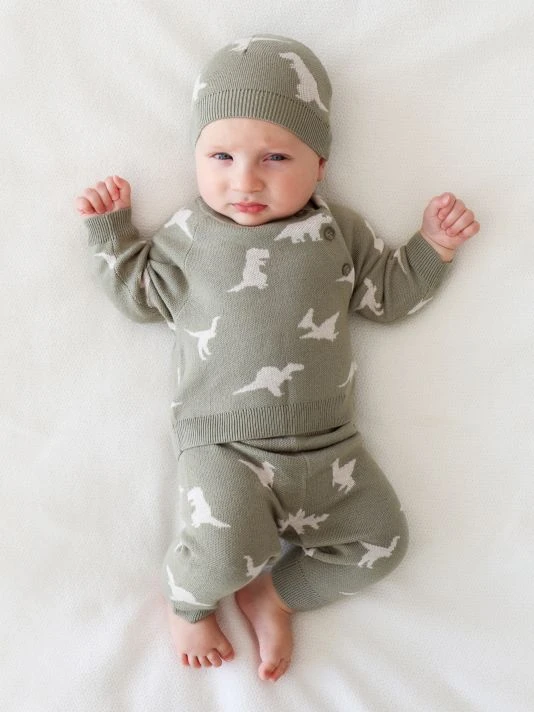 Posh Peanut Baby Boy's Poshosaurus 3-Piece Sweater, Legging & Beanie Set For Kids 7 Posh Peanut Baby Boy's Poshosaurus 3-Piece Sweater, Legging & Beanie Set For Kids - Image 5